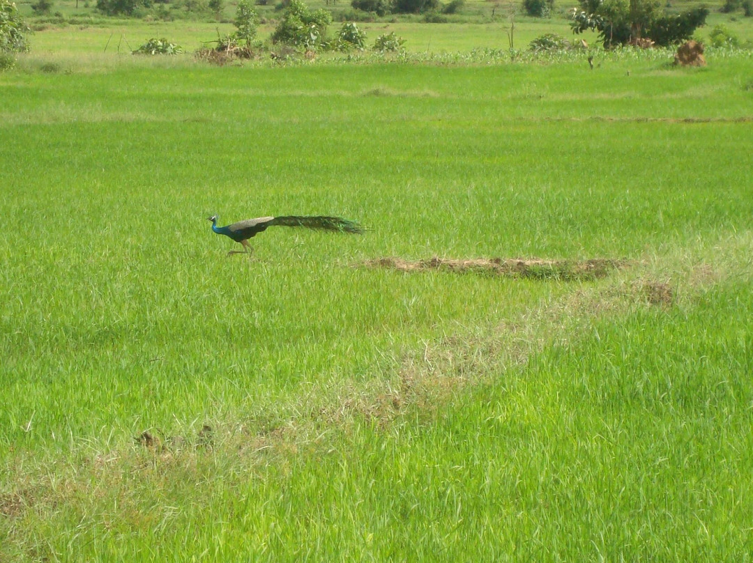 Shanthi Niwahana Kandy主图