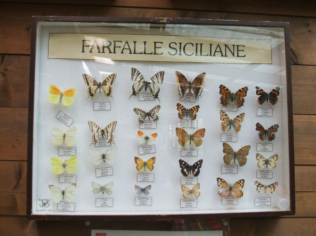 Casa delle Farfalle景点图片