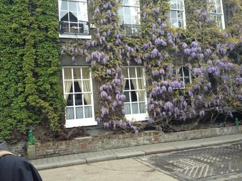 Fuller's Griffin Brewery Tour-伦敦必去景点