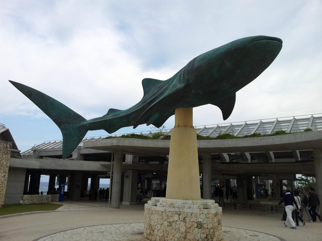 冲绳美之海水族馆景点图片