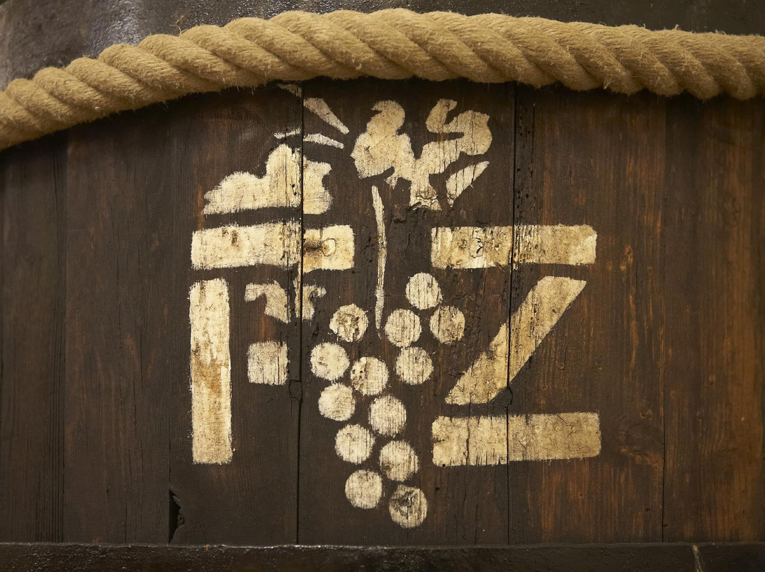 Cantina Zeni e Museo del Vino景点图片