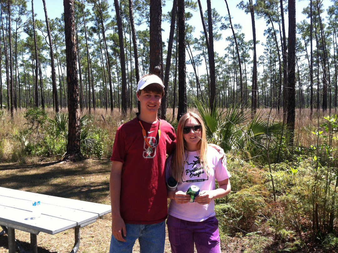 Long Pine Key-大沼泽国家公园必去景点