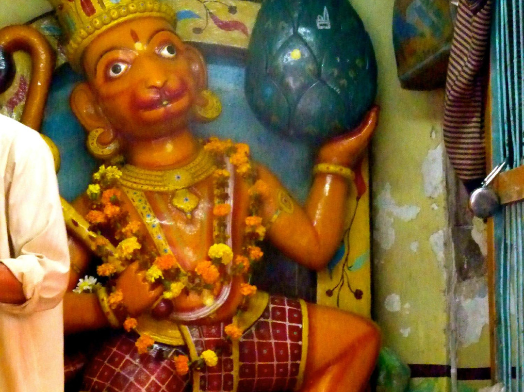 Golden Triangle Tours India Expert景点图片