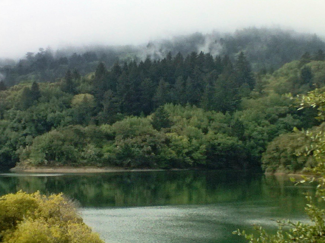 Sawyer Camp Trail-圣马特奥必去景点