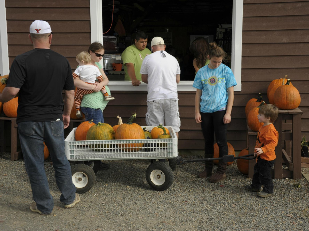 Westmoreland Berry Farm & Market景点图片