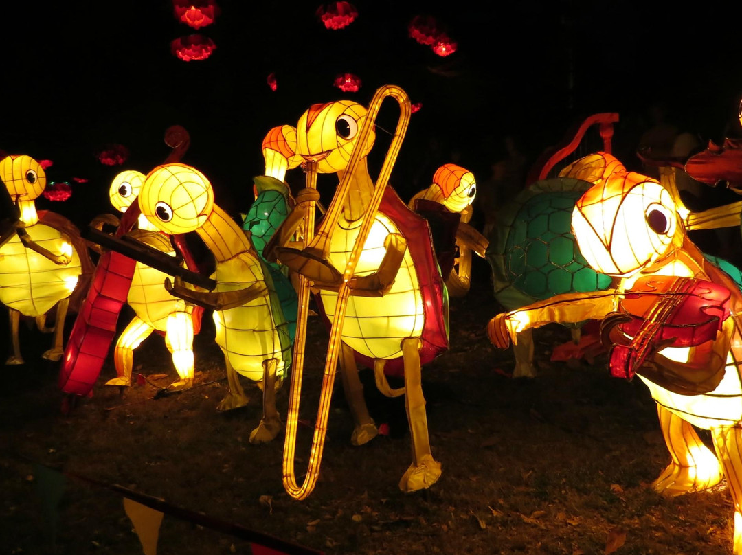 阿尔伯特王子国家公园-奥克兰中心地区必去景点