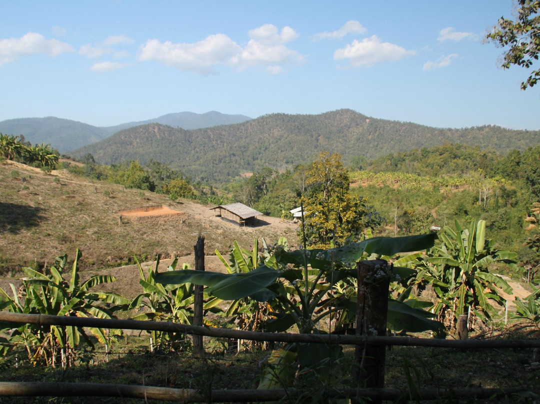 Next Step Thailand Ecotourism-清迈必去景点
