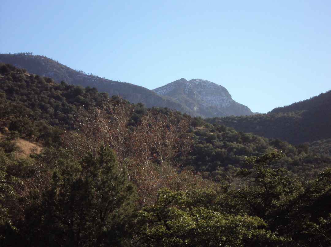 Brown's Canyon Trail景点图片