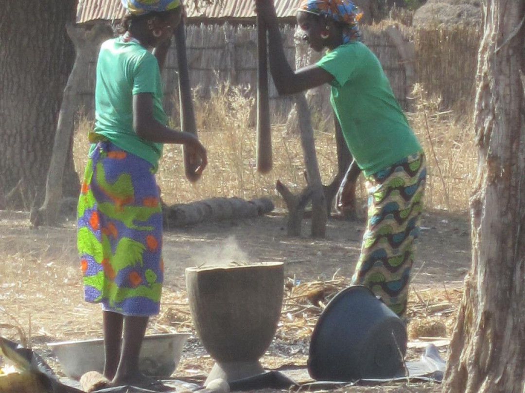 Tilly's Tours - Day Tours-Kololi必去景点