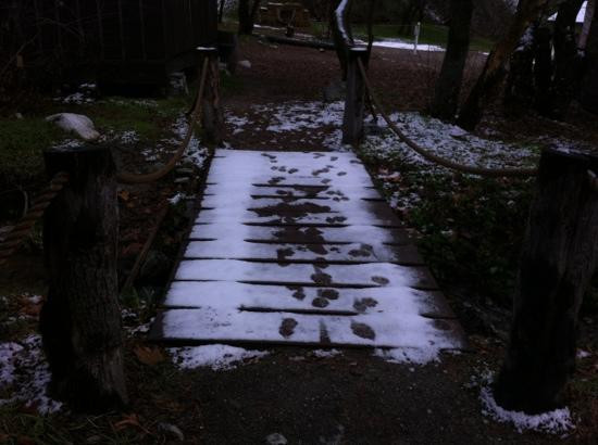 Riley's Farm-Oak Glen必去景点