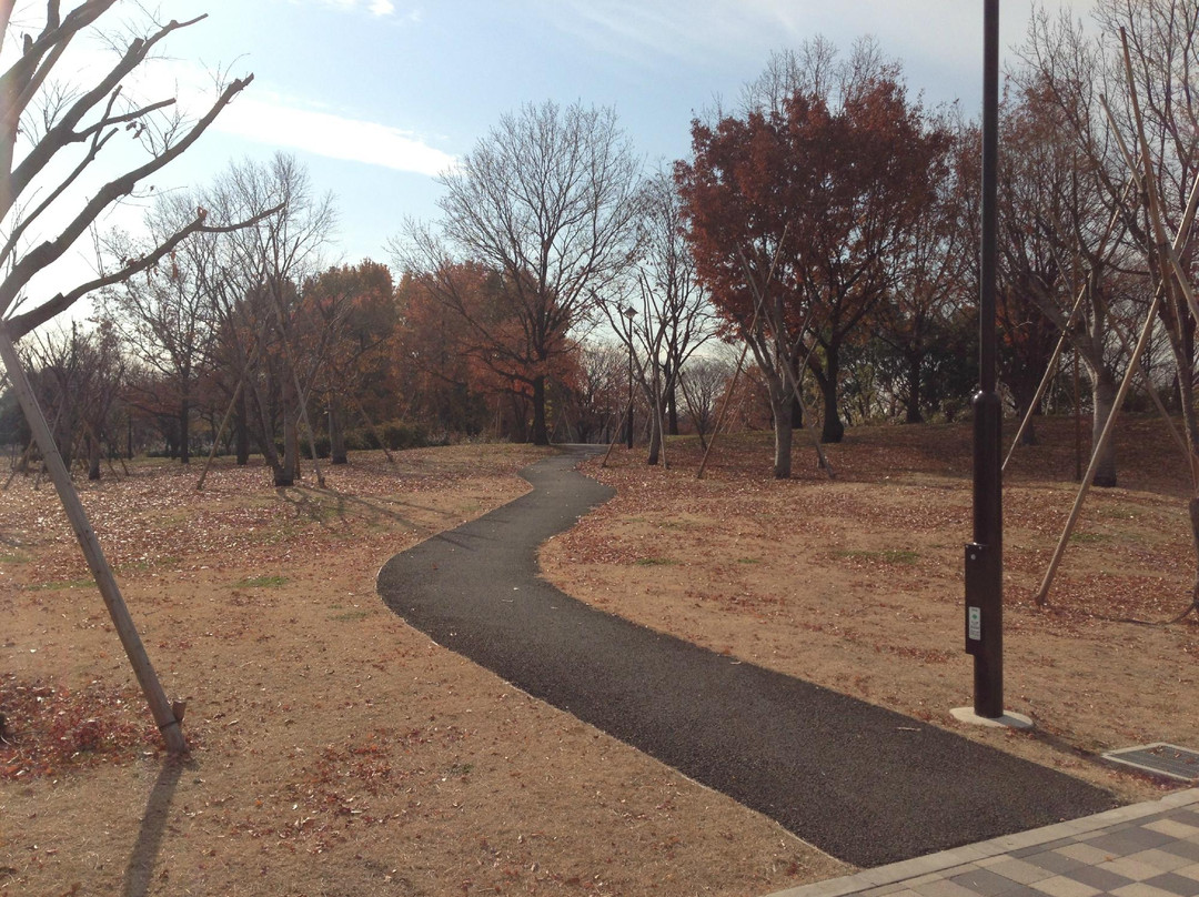 Toneri Park-足立区必去景点