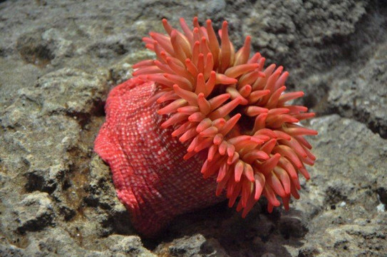 Istanbul Akvaryum-伊斯坦布尔必去景点