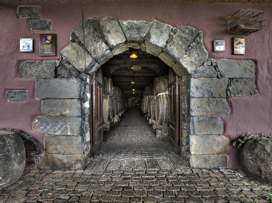 Bodegas Monje-El Sauzal必去景点