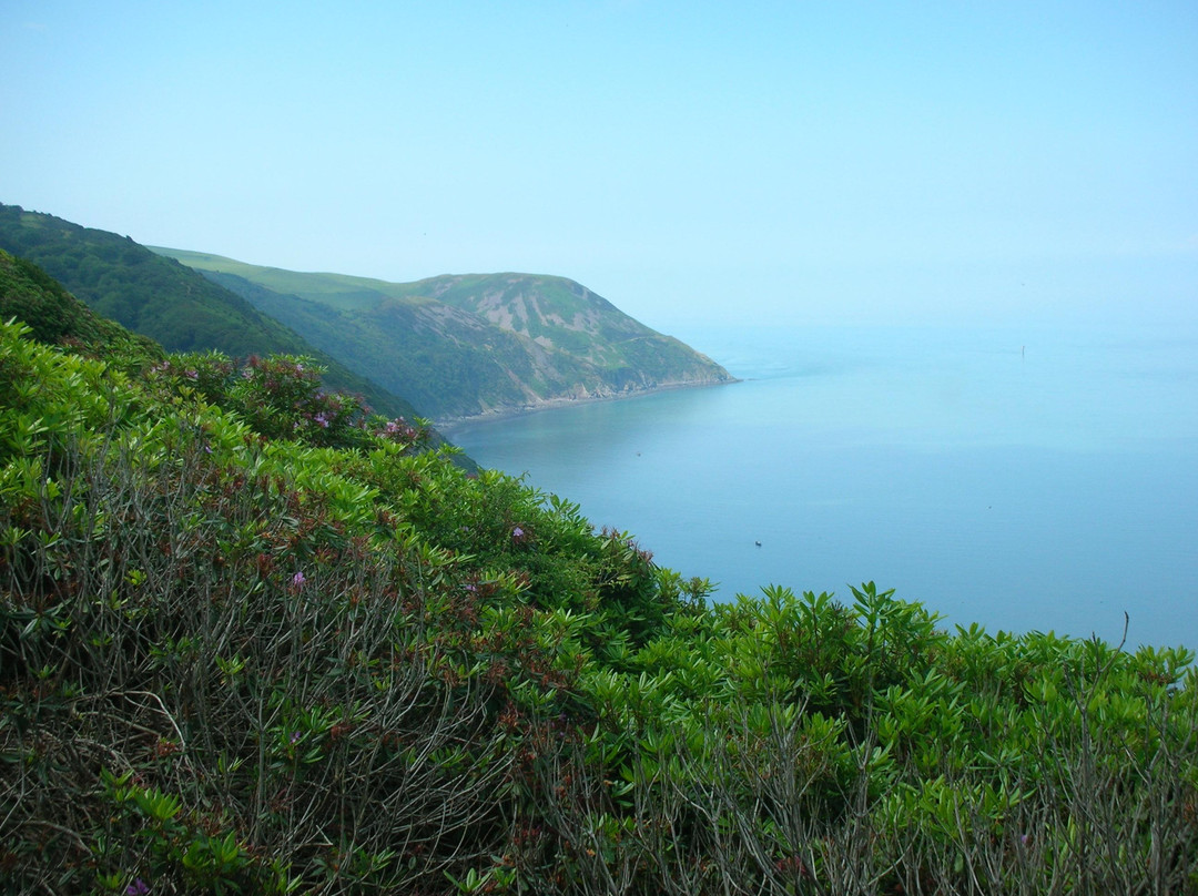 South West Coast Path National Trail景点图片