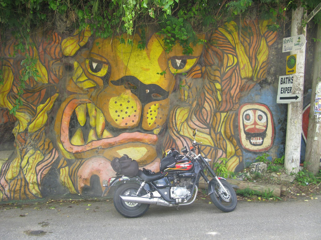 Caribbean Motorcycle Guided Tours-布里奇顿必去景点