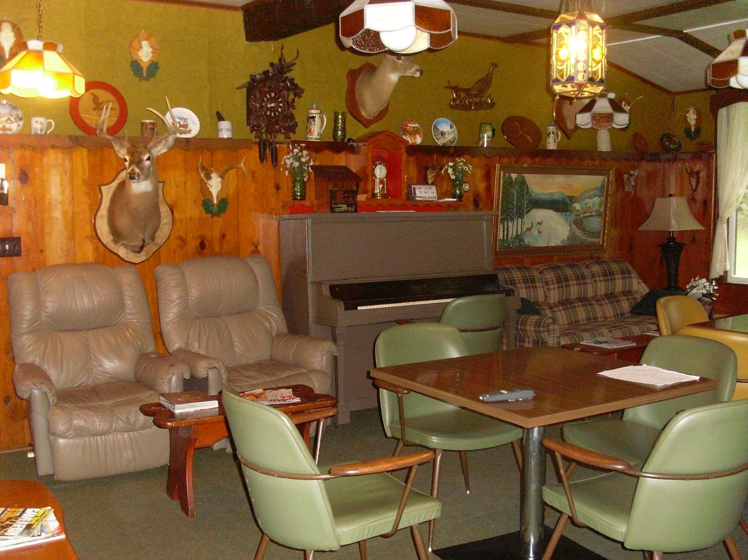 Slide Mountain Forest House主图