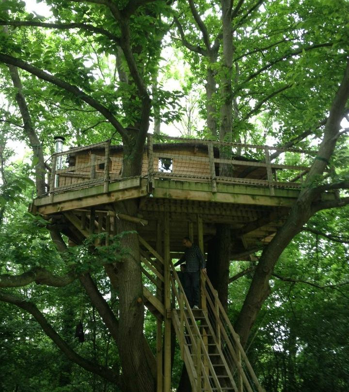 Les Noctam'bulles Cabanes dans les Arbres