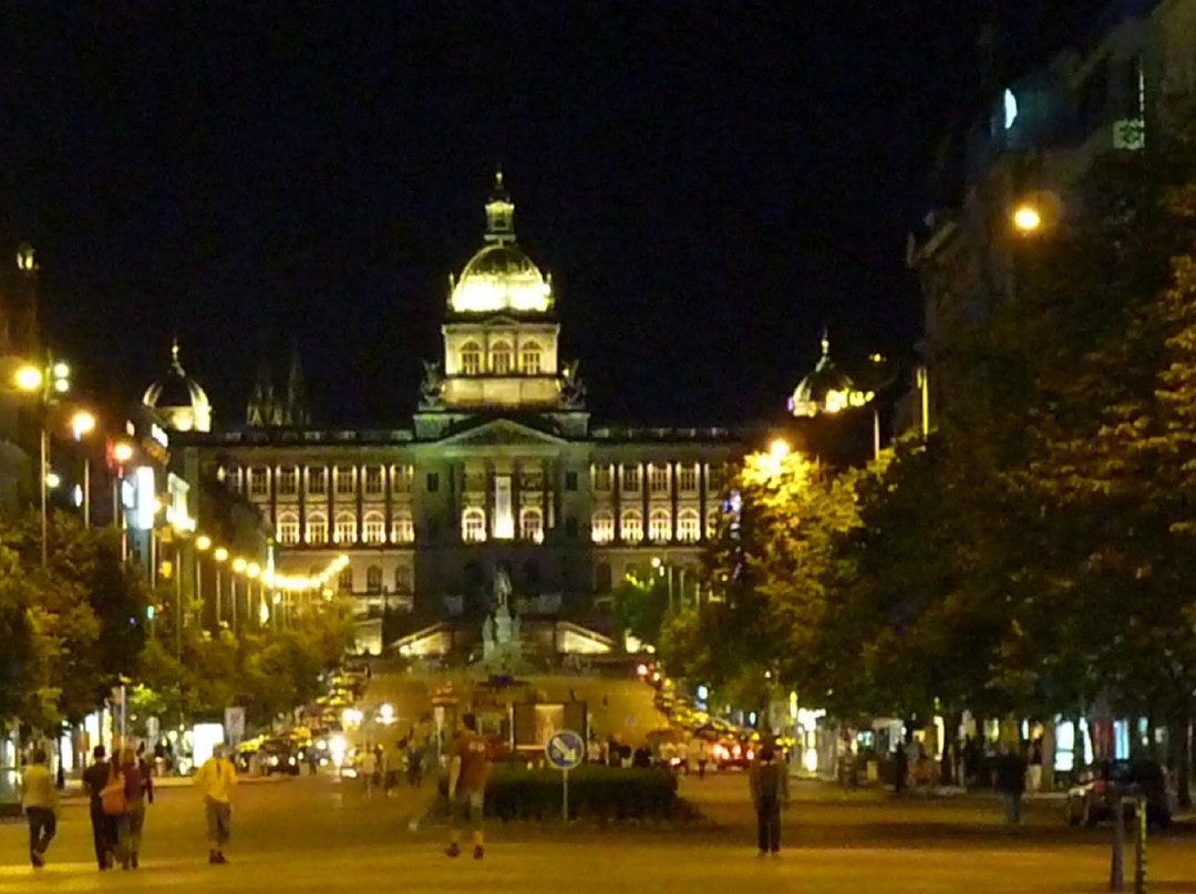 Conocer Praga Private Tours and Excursions景点图片