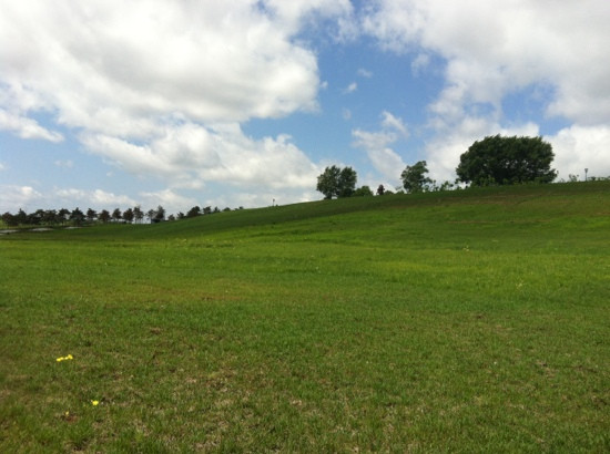 世界雕塑公园-长春市必去景点