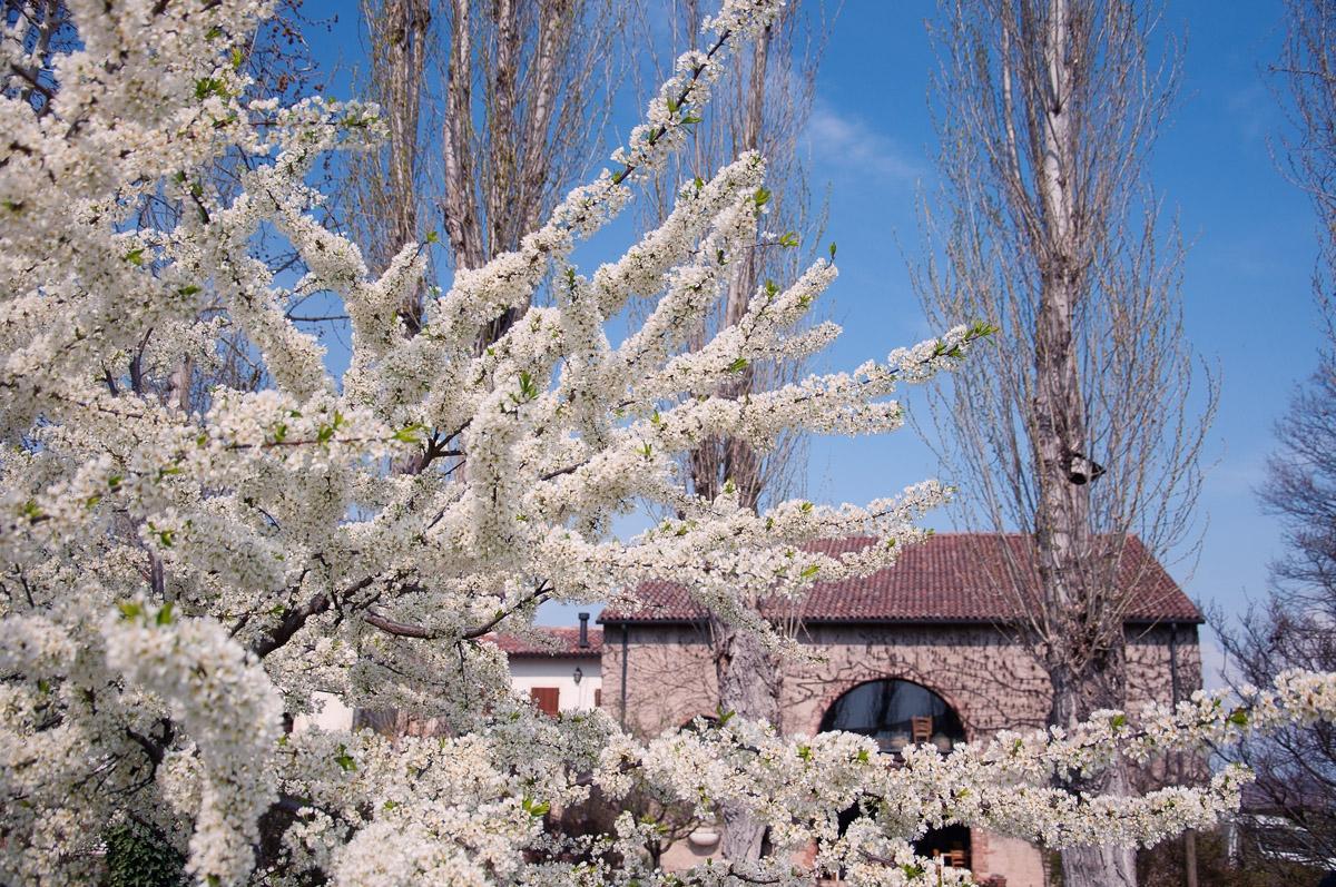 Agriturismo Palazzetto Ardi-浴室