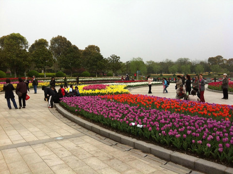上海鲜花港-上海市必去景点
