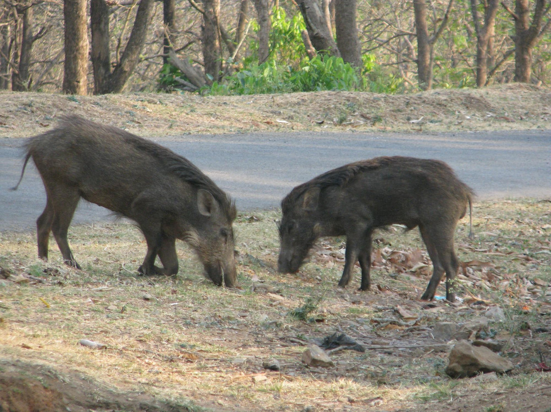 BRT Wildlife Sanctuary景点图片