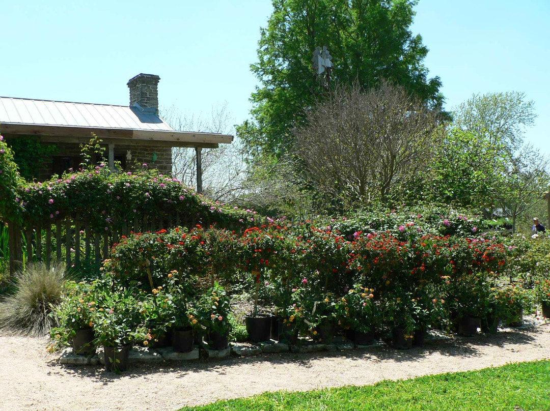 Antique Rose Emporium-Independence必去景点