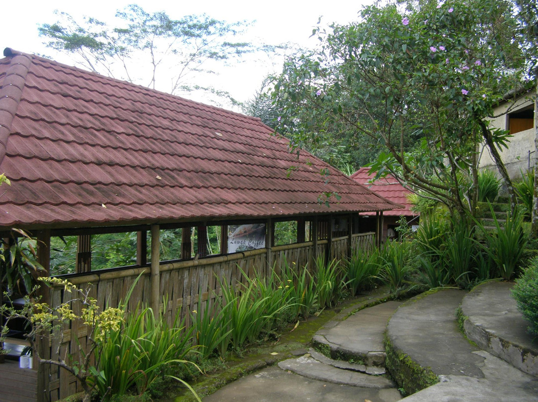 Buana Amertha Sari (BAS)-邦利必去景点