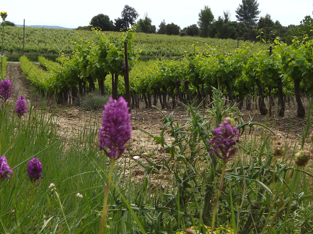 Domaine Rotonde Cavalier景点图片