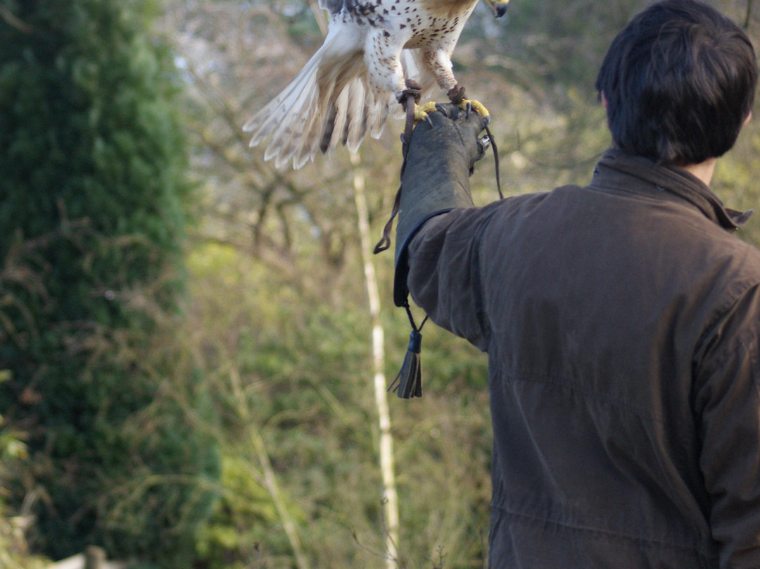 Pro Falconer-Baginton必去景点