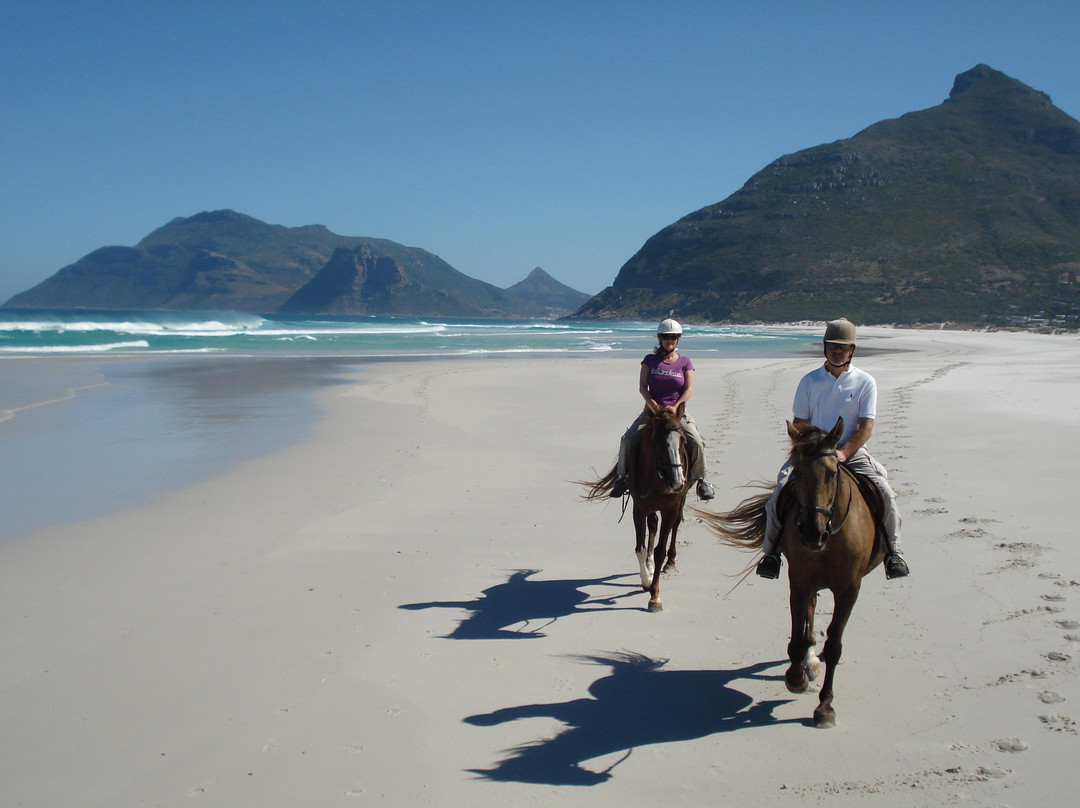 Cape Adventure Zone-开普敦中心区必去景点