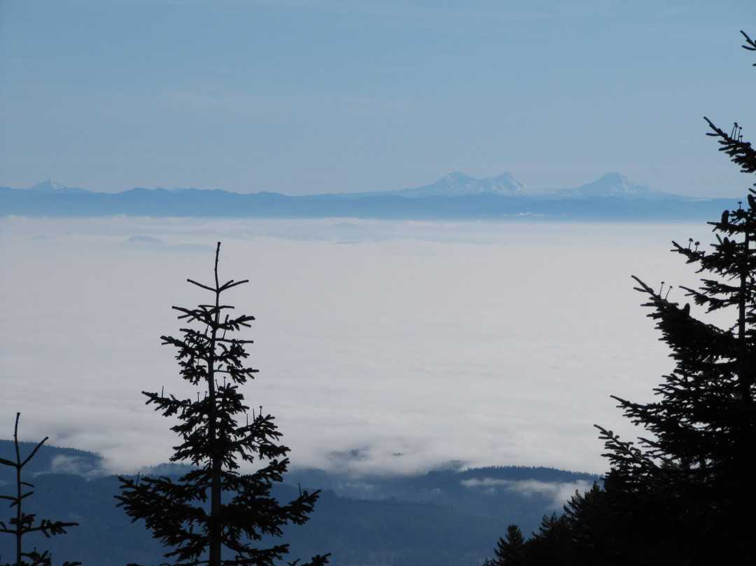 Siuslaw National Forest-科瓦利斯必去景点