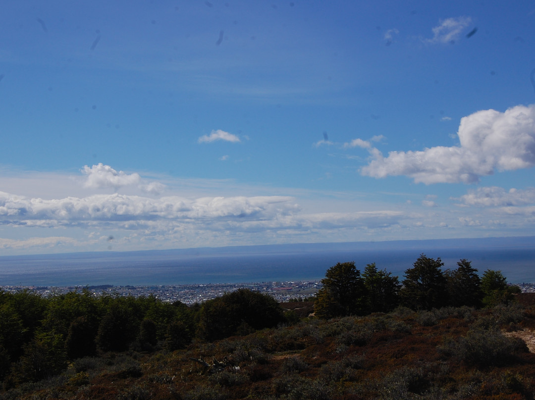 Reserva nacional Magallanes-蓬塔阿雷纳斯必去景点