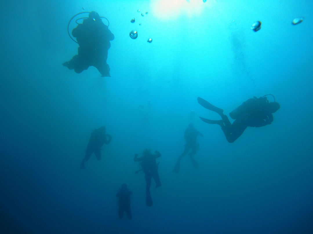 Punta Uva Dive Center景点图片