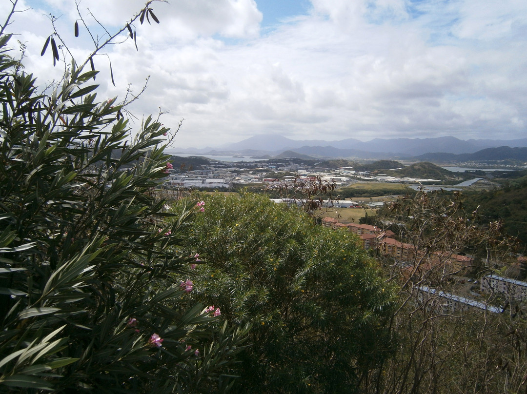 Parc zoologique et forestier-努美阿必去景点