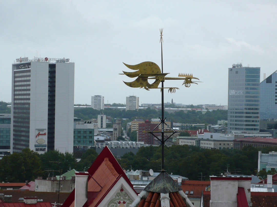 Traveller Tours-塔林必去景点