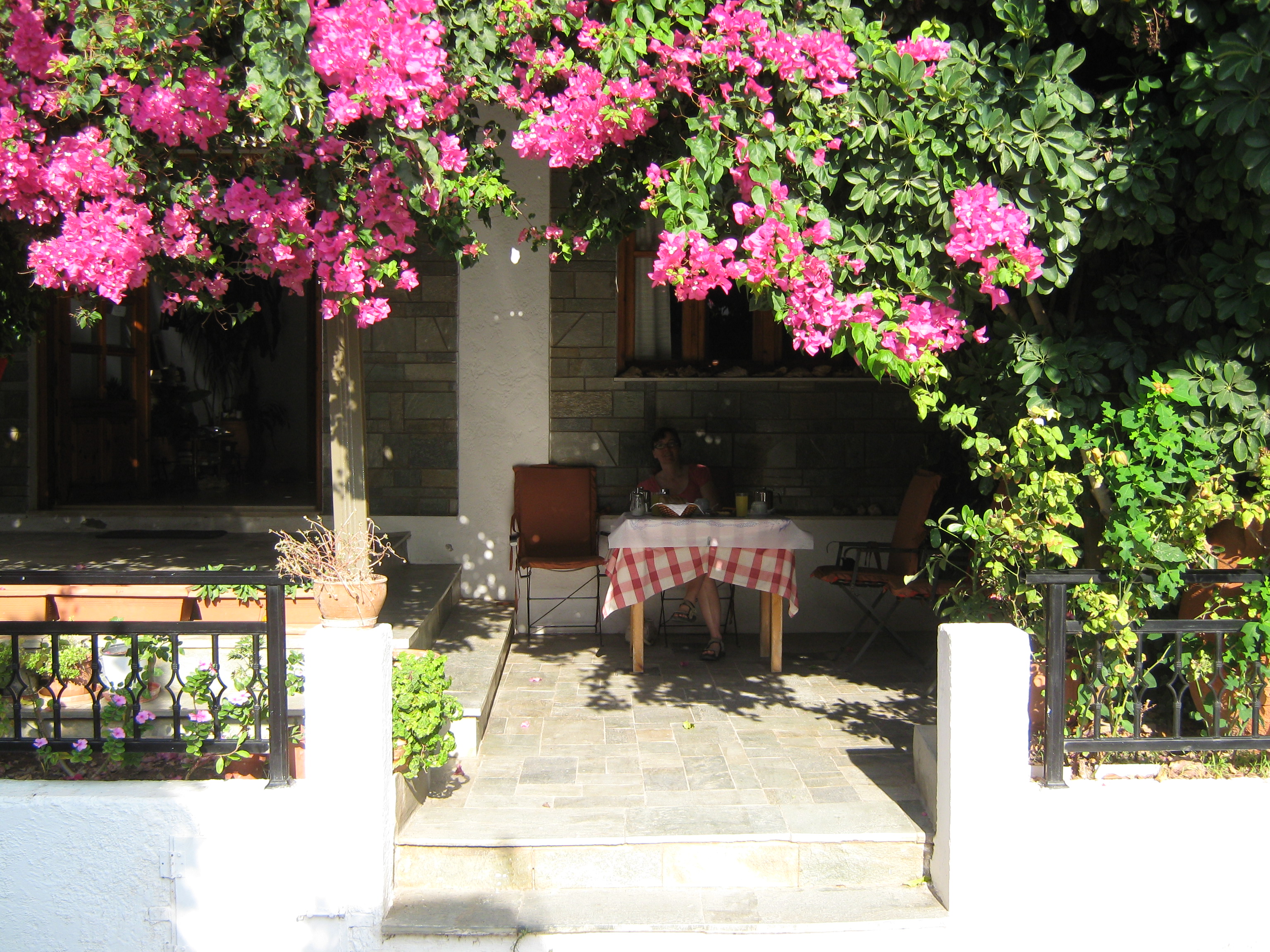 Hotel Thalia Palekastro-餐饮