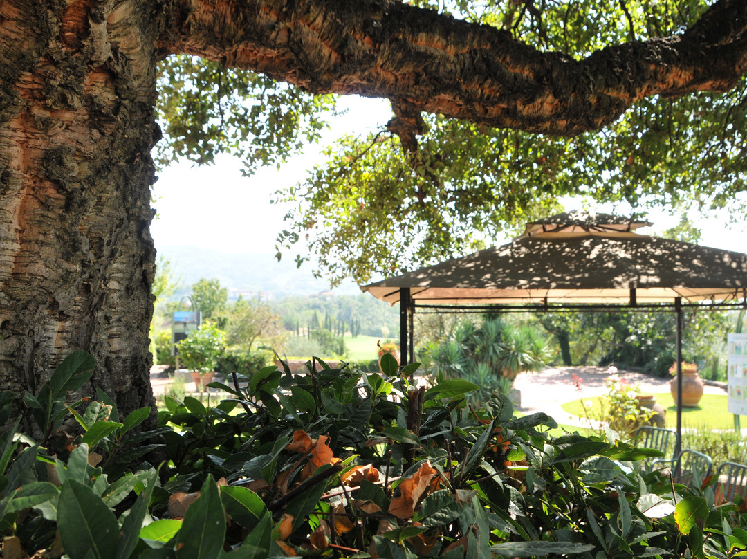Montecatini Golf Club-蒙特卡蒂尼－泰尔梅必去景点
