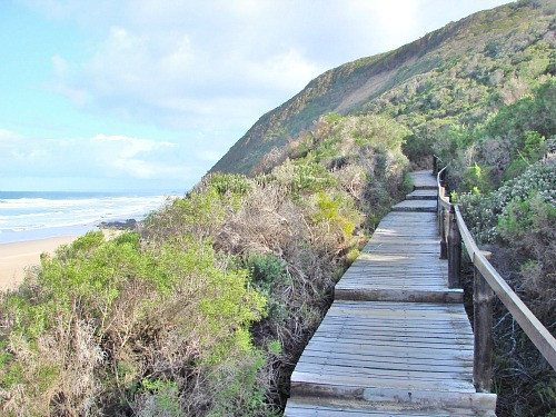 Goukamma Nature Reserve-克尼斯纳必去景点