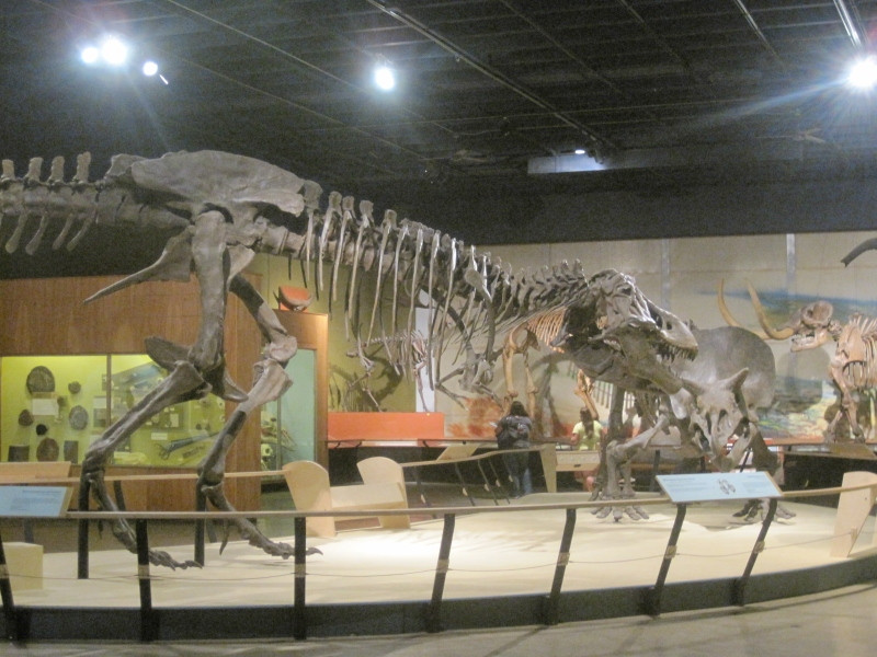 Cleveland Museum of Natural History-克利夫兰必去景点