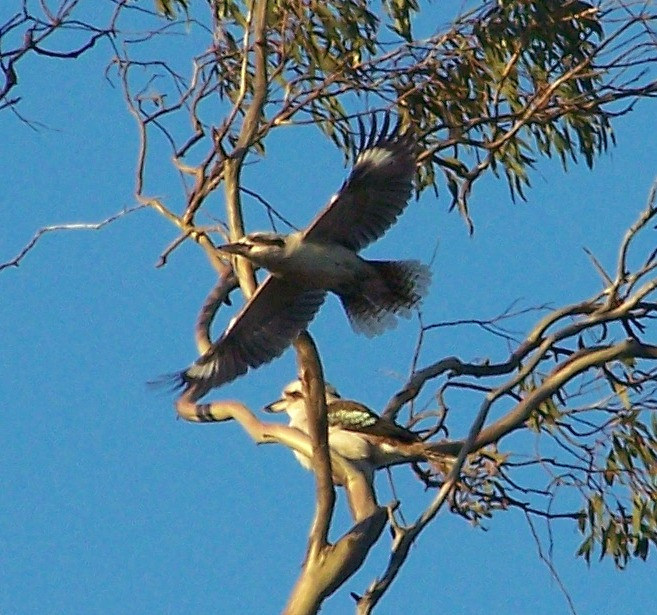 Battunga Cottages主图