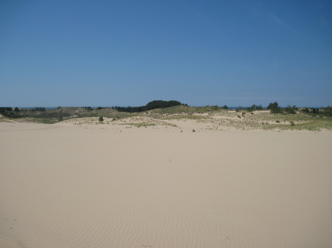 Mac Wood's Dune Rides-Mears必去景点