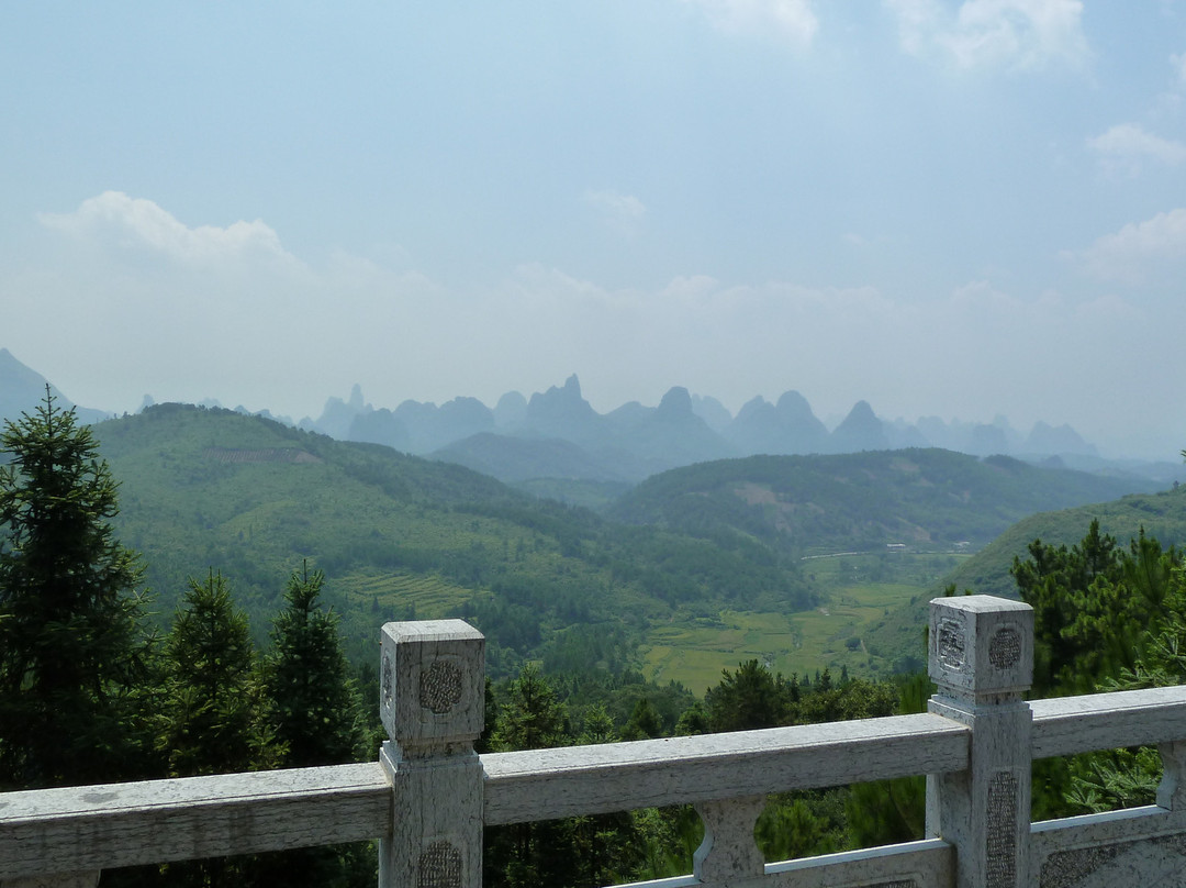 阳朔柚子花园主图