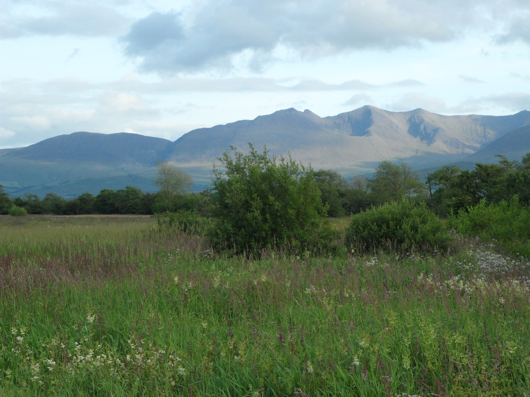 West's Caravan Park
