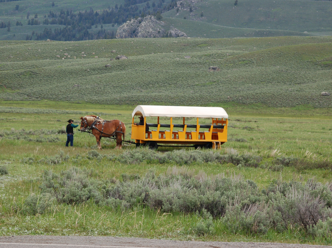 Old West Dinner Cookout-黄石国家公园必去景点
