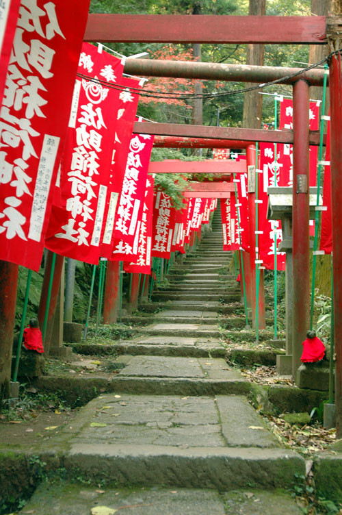 Sasuke Inari Shrine景点图片