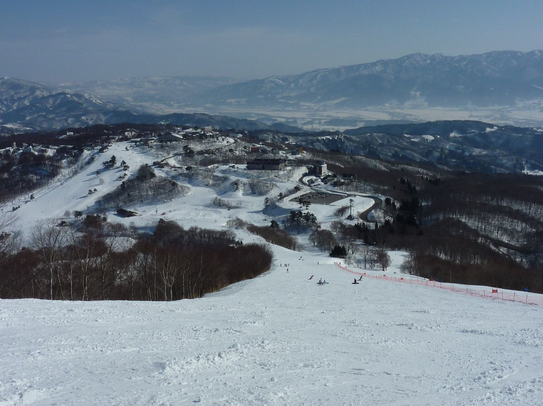 Madarao Mountain Resort-饭山市必去景点