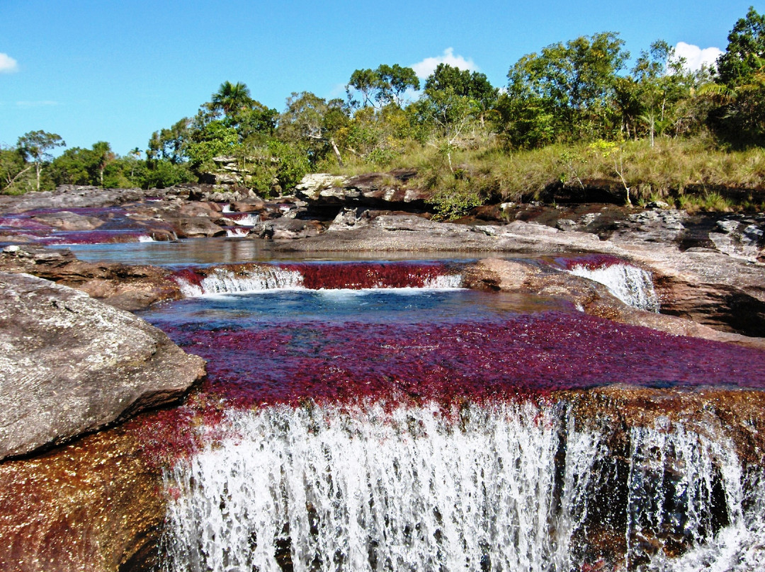 Cano Cristales-La Macarena必去景点