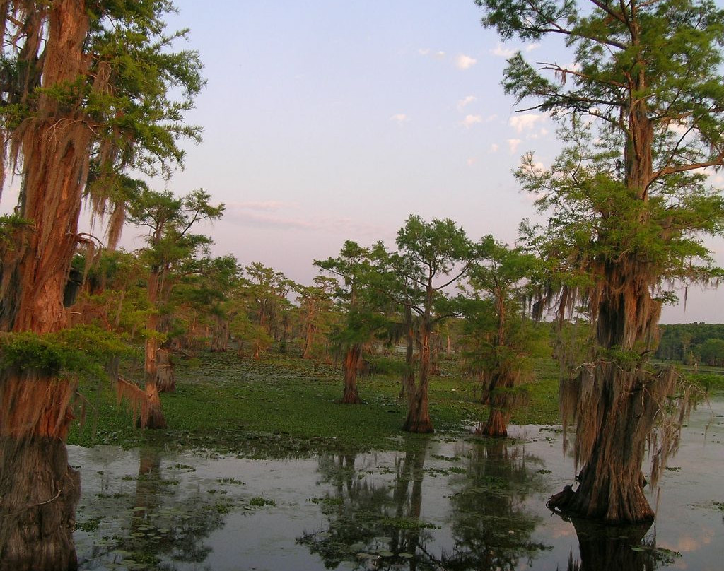 Caddo Lake State Park-Karnack必去景点