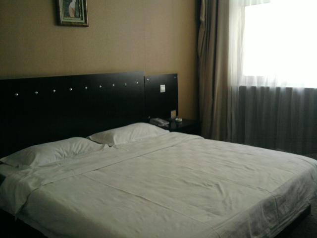 嘉和快捷商务酒店-客卧